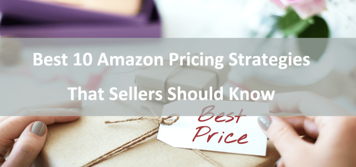 Best 10 Amazon Pricing Strategies That Sellers Should Know-AMZFinder