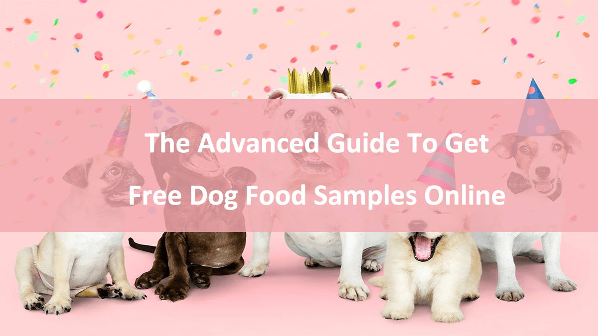 The Advanced Guide To Get Free Dog Food Samples Online-AMZFinder